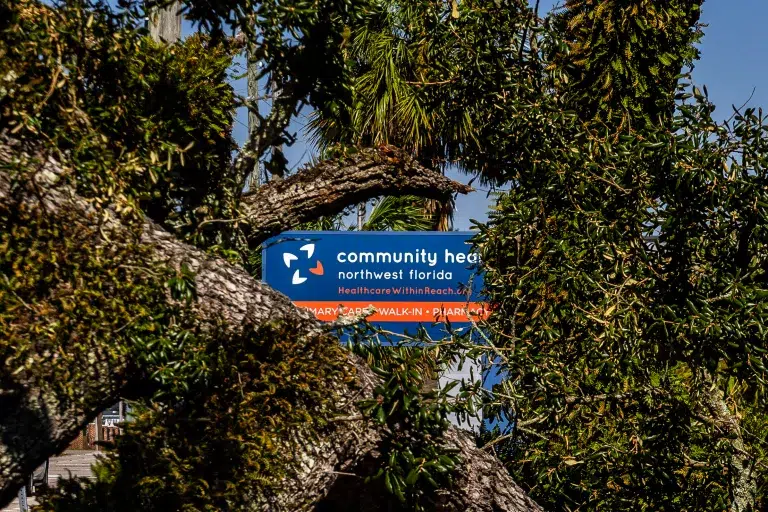 The Community Health Northwest Florida sign at 1400 North Palafox Street surrounded by a downed tree.
